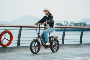 Why Folding E-Bikes Are Perfect in the Netherlands