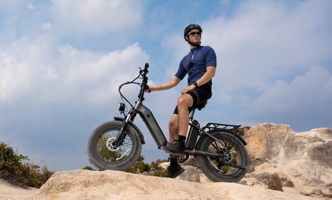 Bild des Reitens FF20 Polar