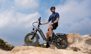 Bild des Reitens FF20 Polar