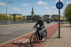 Hamburg mit dem E-Bike: Waseberg bezwingen & Altes Land erkunden