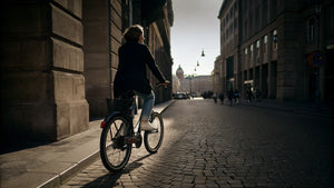 Verständnis der L1e-B-Zertifizierung & Ihr EU-Reitführer (2025)