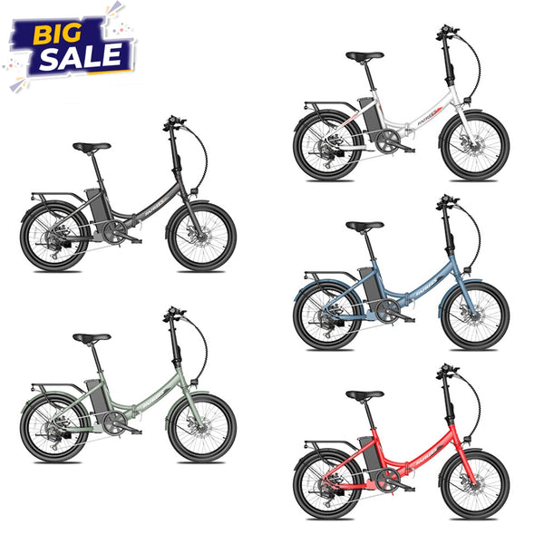 Ebike Bundle - Fafrees F20 Light  (2er Pack)