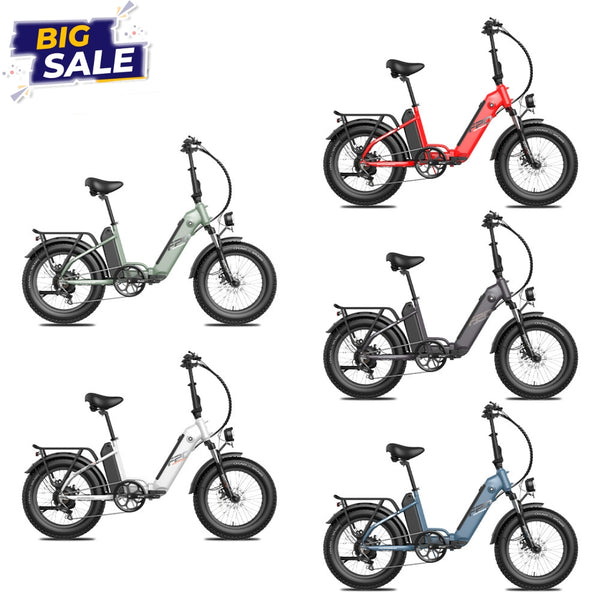 Ebike Bundle - Fafrees FF20 Polar  (2er Pack)