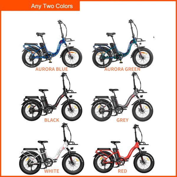 Ebike Bundle - Fafrees F20 MAX  (2er Pack)