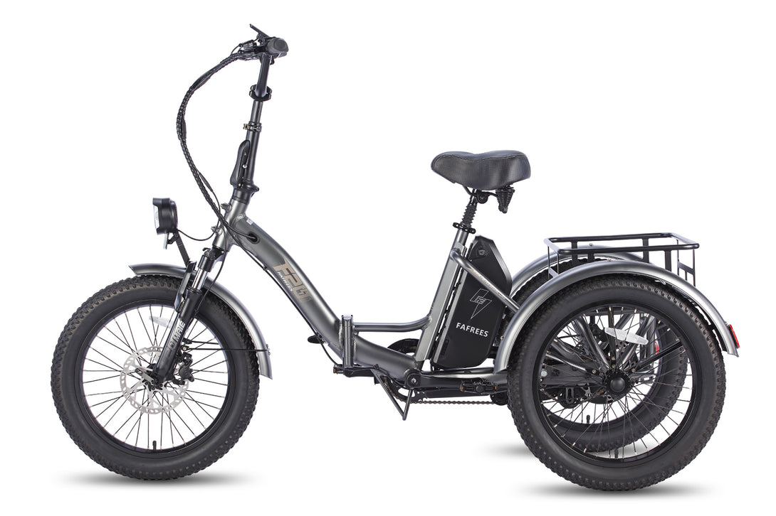 Fafrees F20 Mate Electric Trike: City, Fat Tire, Cargo Ebike, Samsung ...