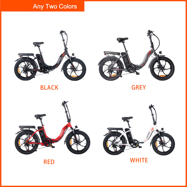 Ebike Bundle - Fafrees F20 (2er Pack)