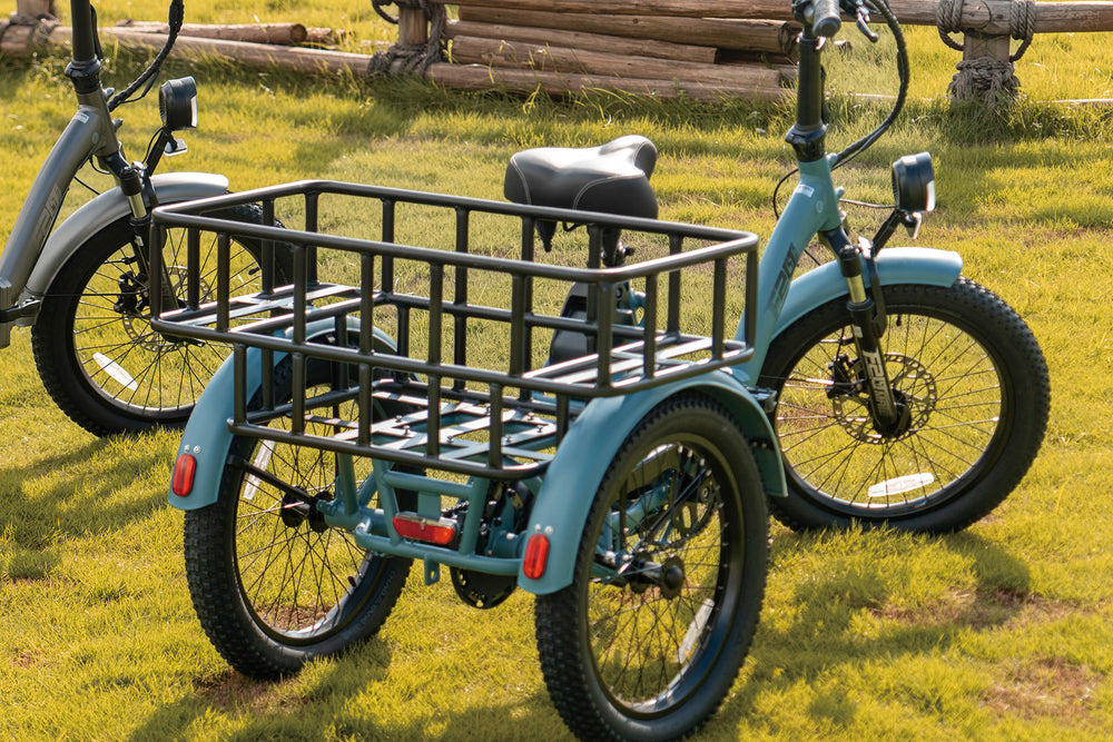 F20 Mate Vergrößerter hinterer Korb+Freier vorderer Rack-Korb