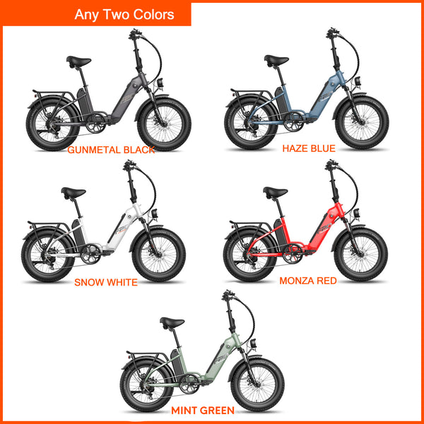 Ebike Bundle - Fafrees FF20 Polar  mit Doppelbatterien (2er Pack) - fafreesebike